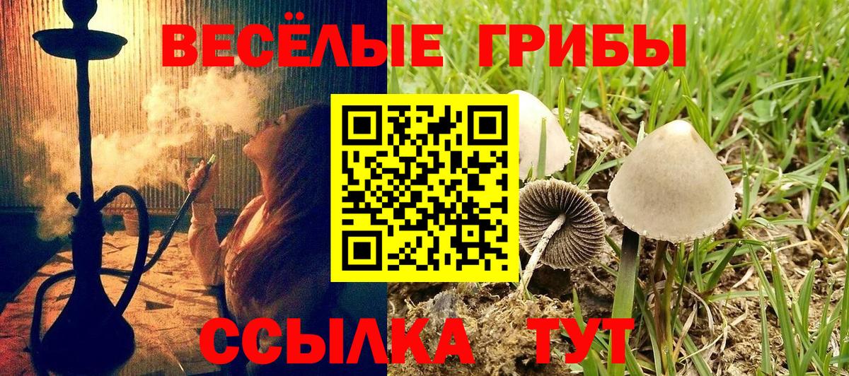 Галлюциногенные грибы ЛСД  Вход с VPN  Галлюциногенные грибы прущие грибы  Кимры 