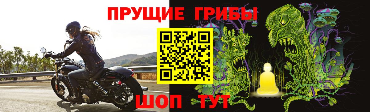 Галлюциногенные грибы мицелий Кимры
