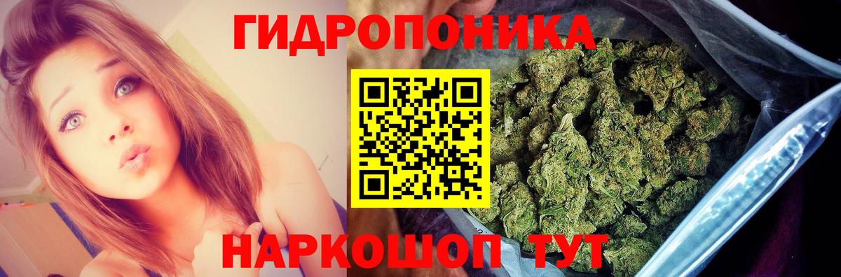 Конопля тримм  Бошки марихуана сатива  Вход с VPN  Канабис AK-47  Кимры  Марихуана марихуана 